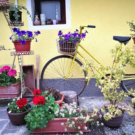 Apartman Yellow House