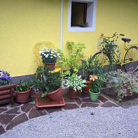 Yellow House Apartment Ljubljana